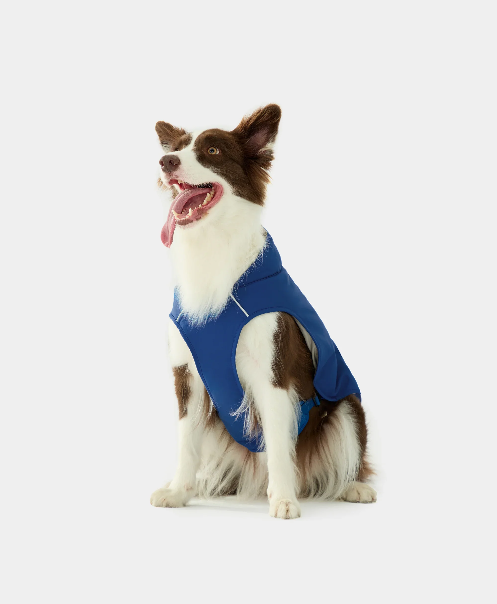 Koldpwoof Heated Dog Vest - Image 16