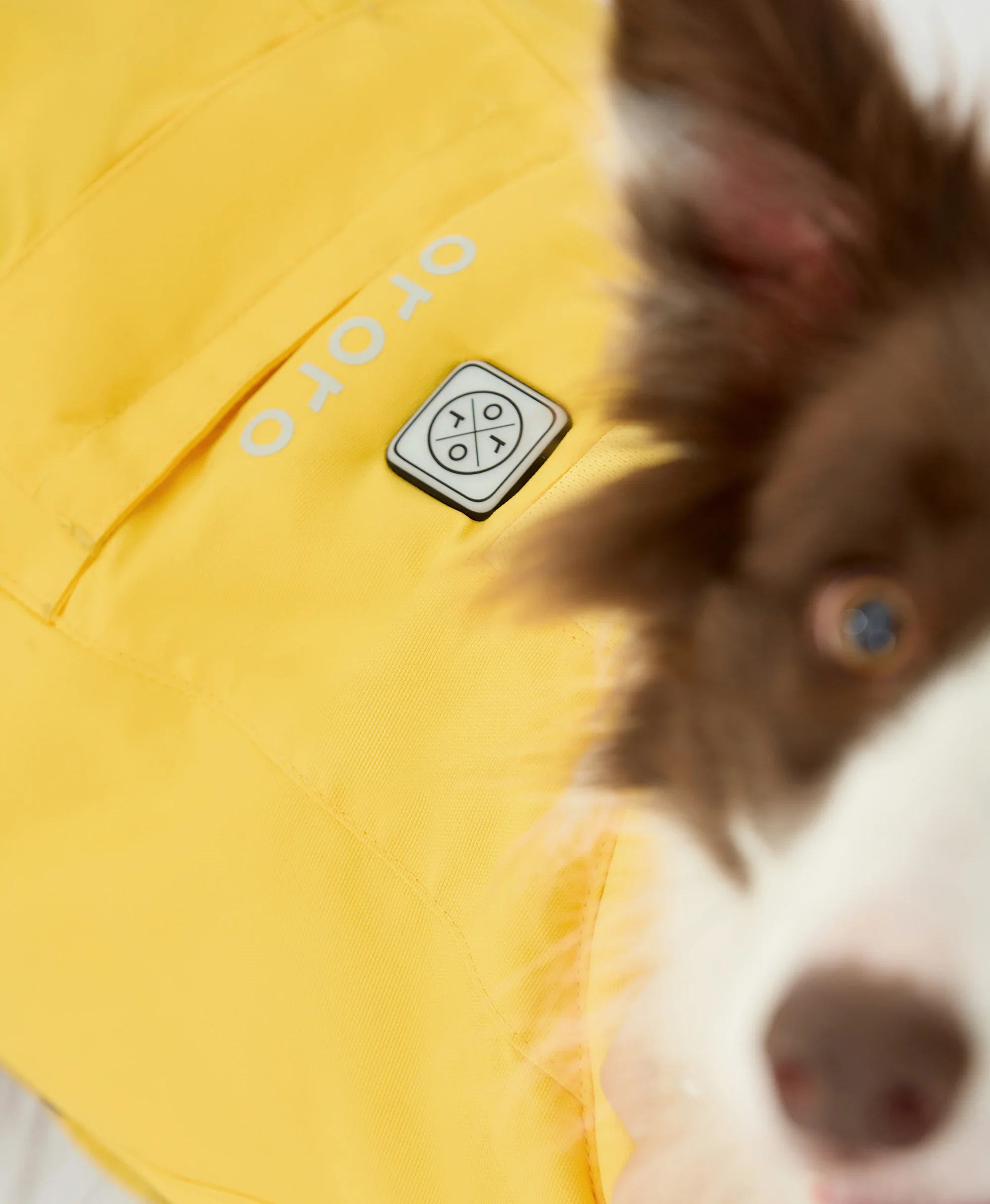 Koldpwoof Heated Dog Vest - Image 6